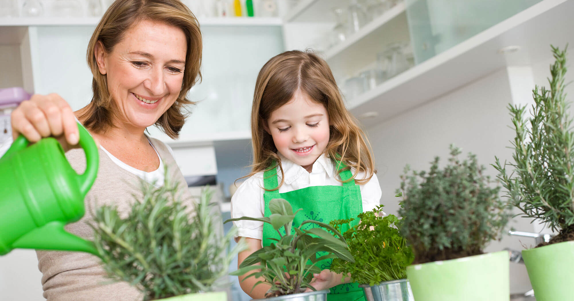 Jak dbać i hodować zioła w kuchni